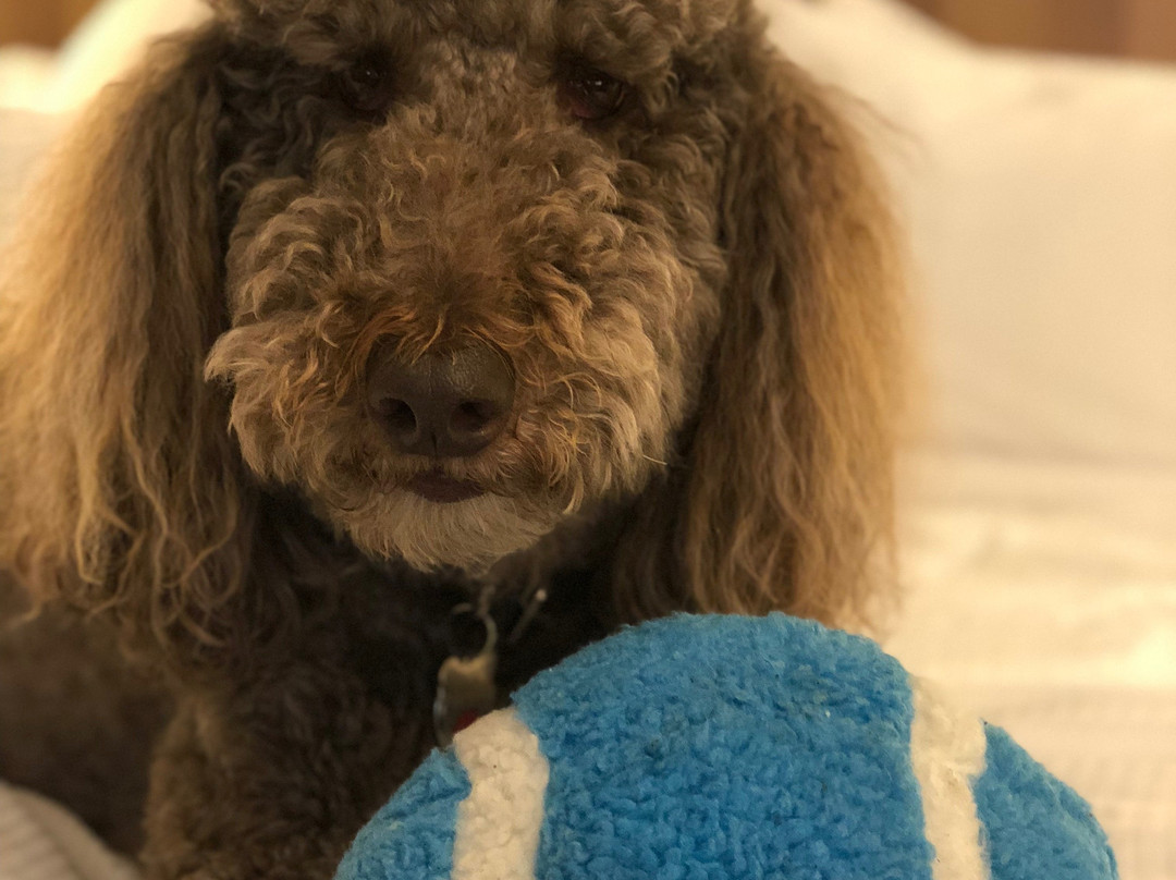 Element Seattle Redmond主图