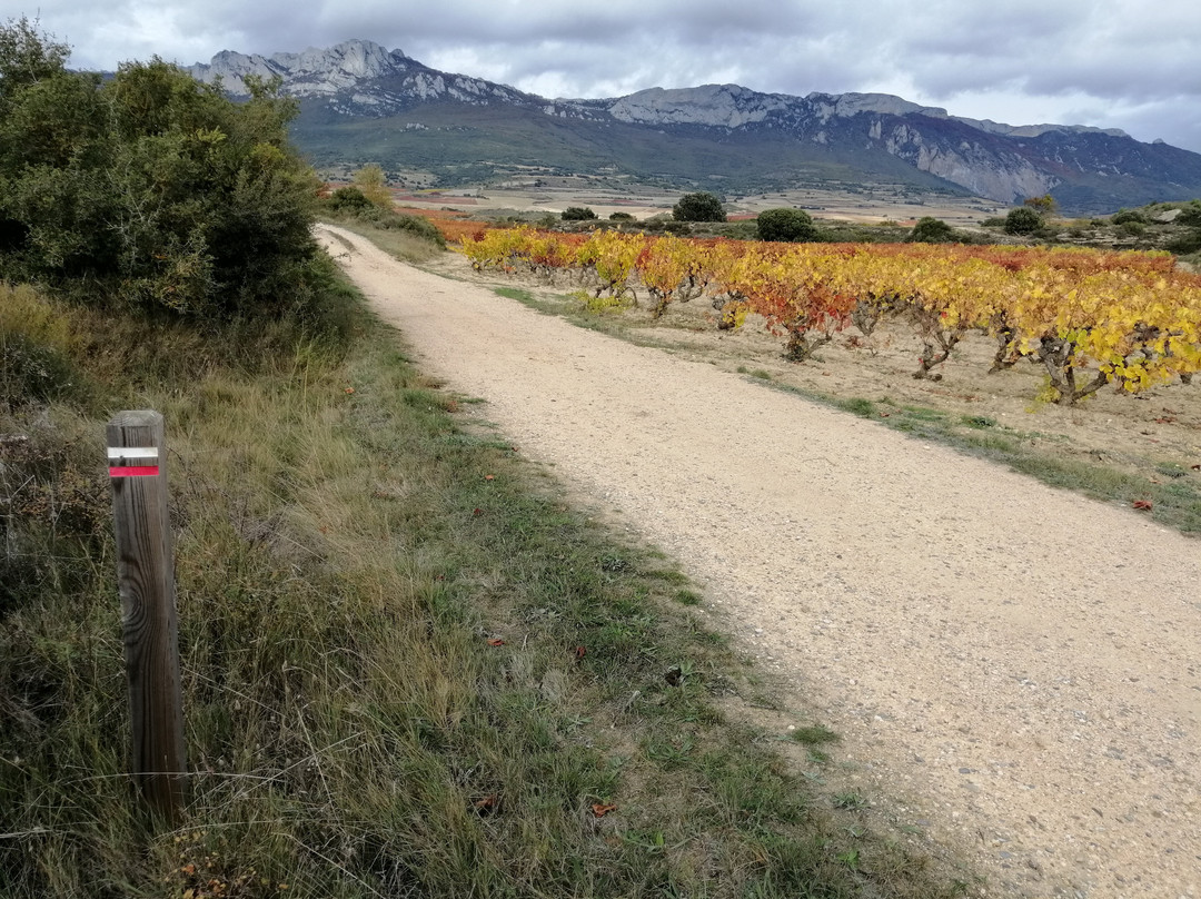 RunRioja-洛格罗尼奥必去景点