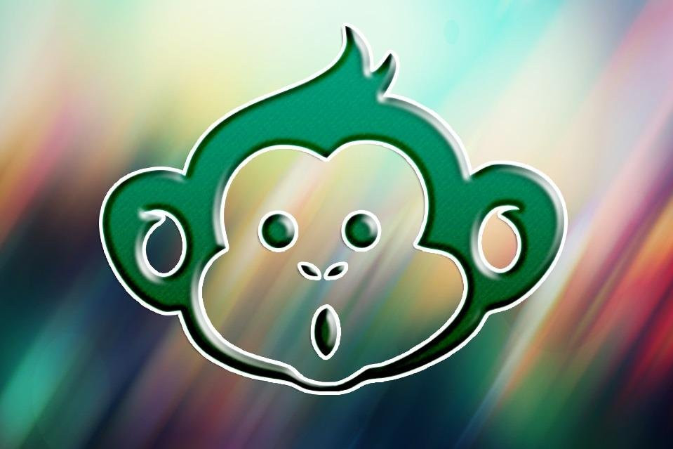 Monkey Adventures Cusco-库斯科必去景点