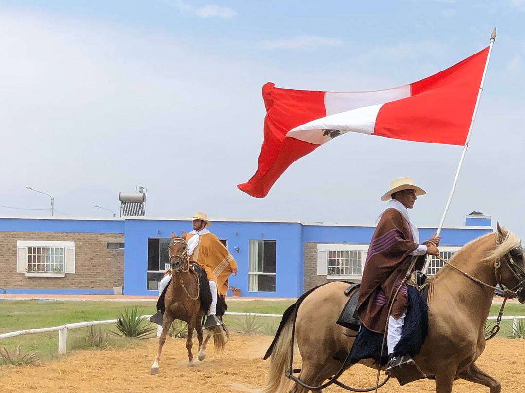 Caballos Peruanos De Paso-特鲁希略必去景点