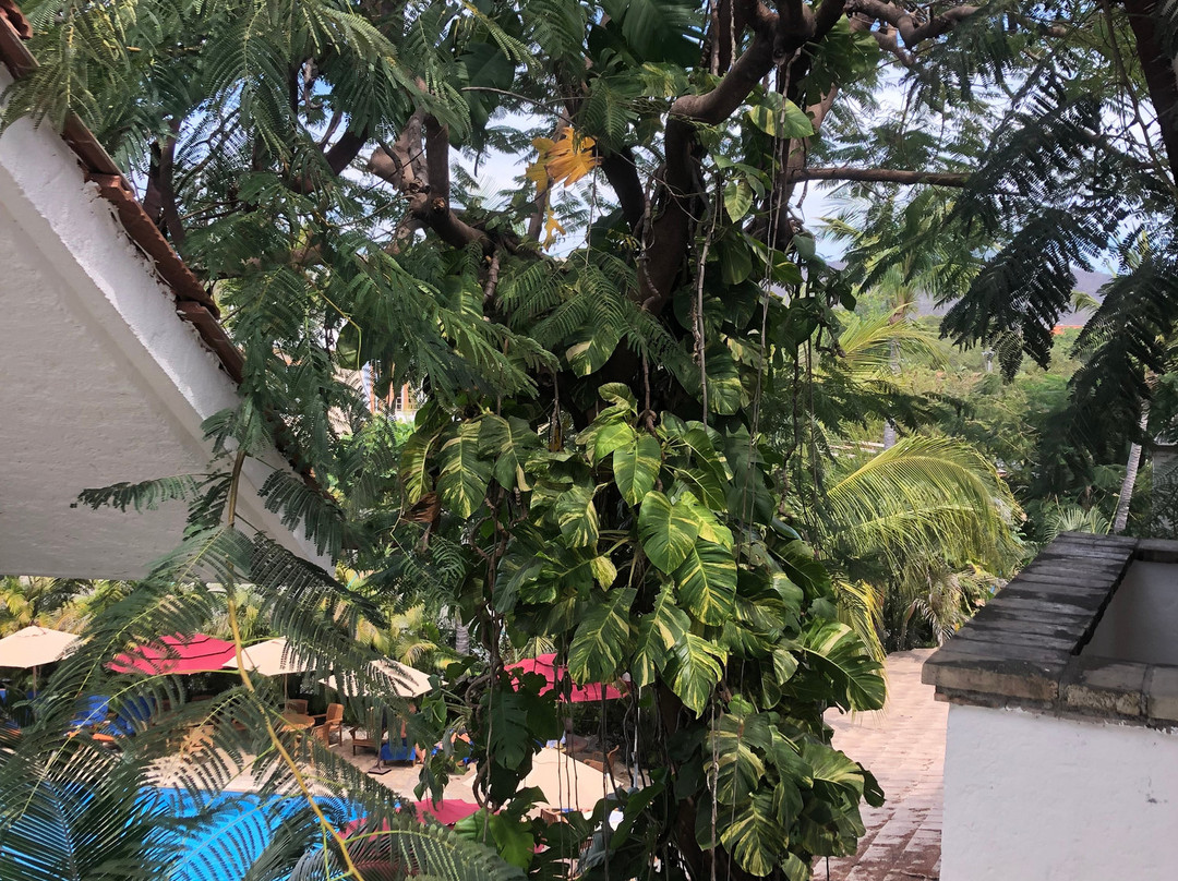 Hotel Villa Blanca Huatulco主图