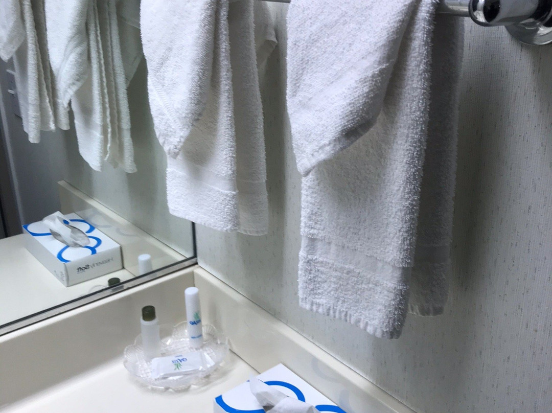 Fontana Village Inn主图