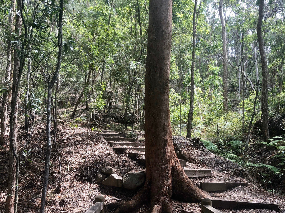 图海森林-布里斯班必去景点