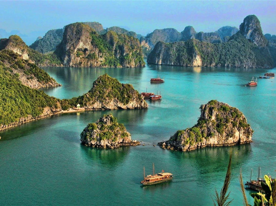 Halong Bay Cruises景点图片