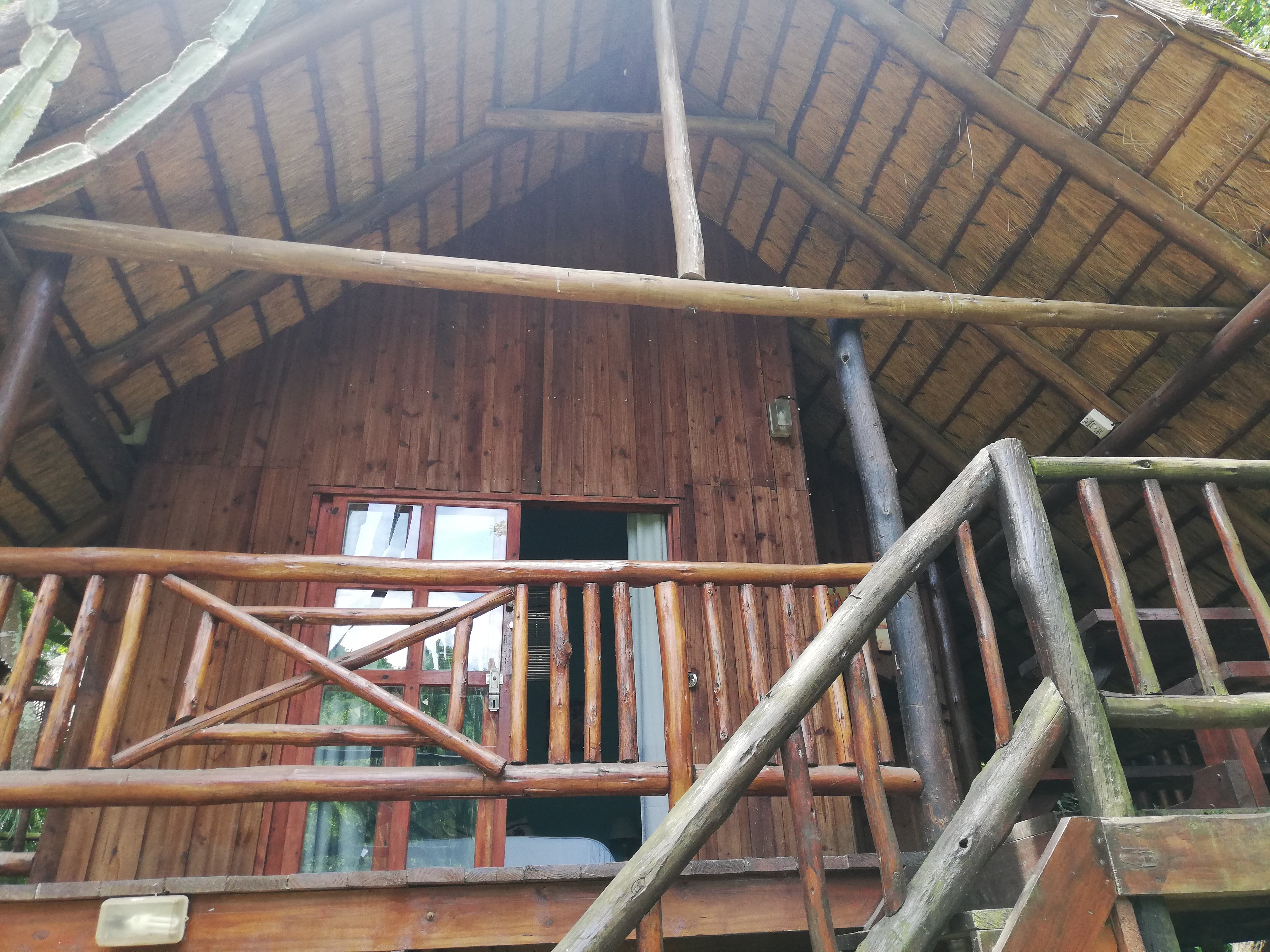 Tree House River Lodge-官方