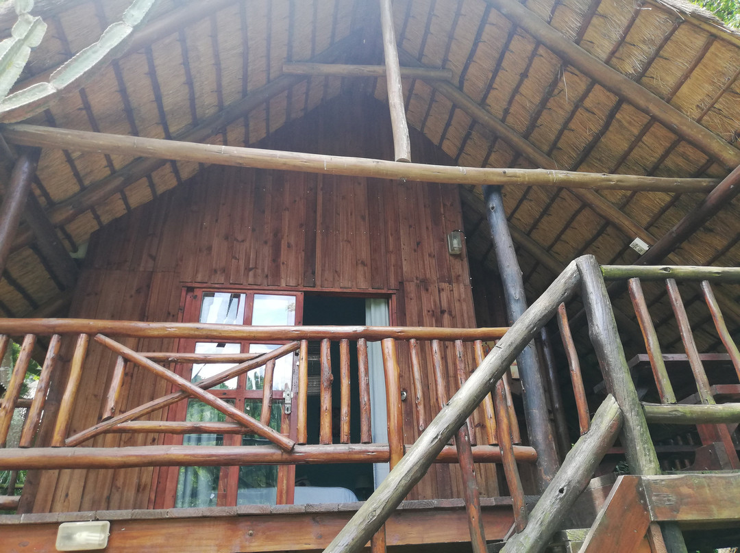 Tree House River Lodge主图