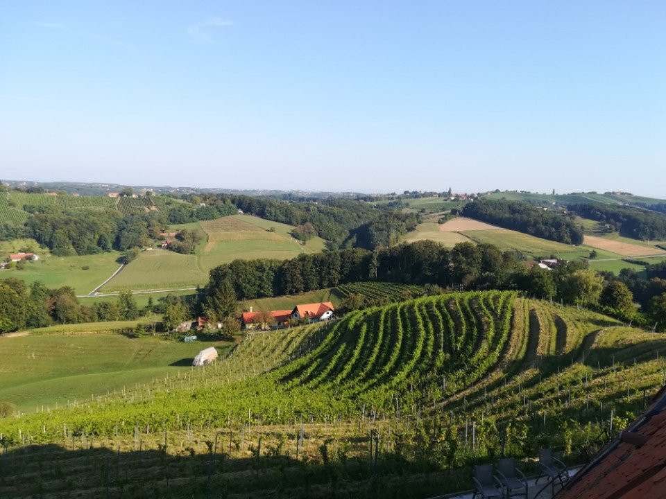 Taverna & Wine Jeruzalem主图