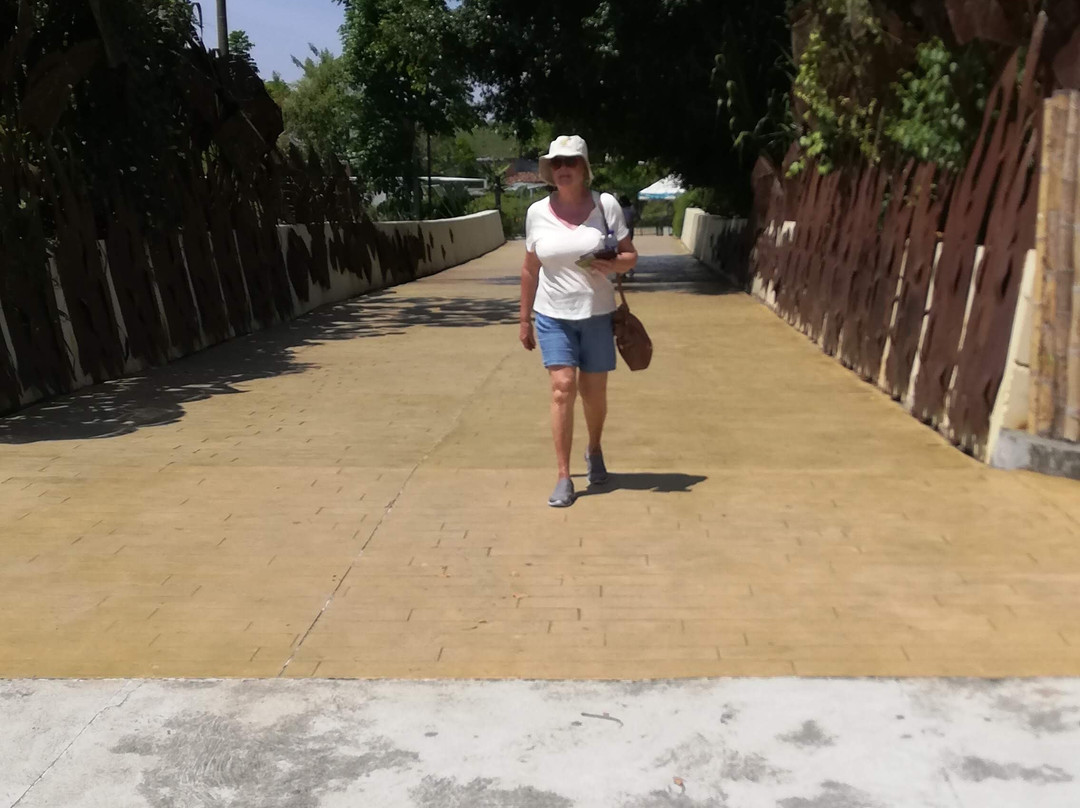 Bioparque Ukumarí-佩雷拉必去景点