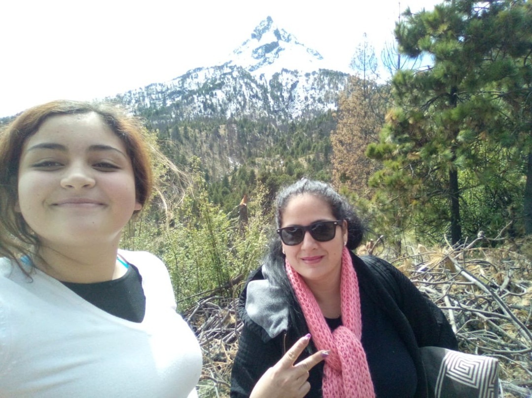 Parque Nacional Nevado de Colima景点图片