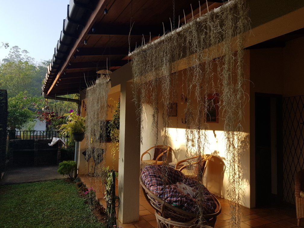 Ebony Springs Specialty Teas and Home Stay Accommodation主图