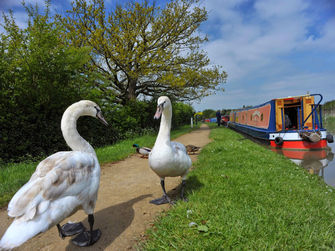 Paul Smith-Napton-on-the-Hill必去景点