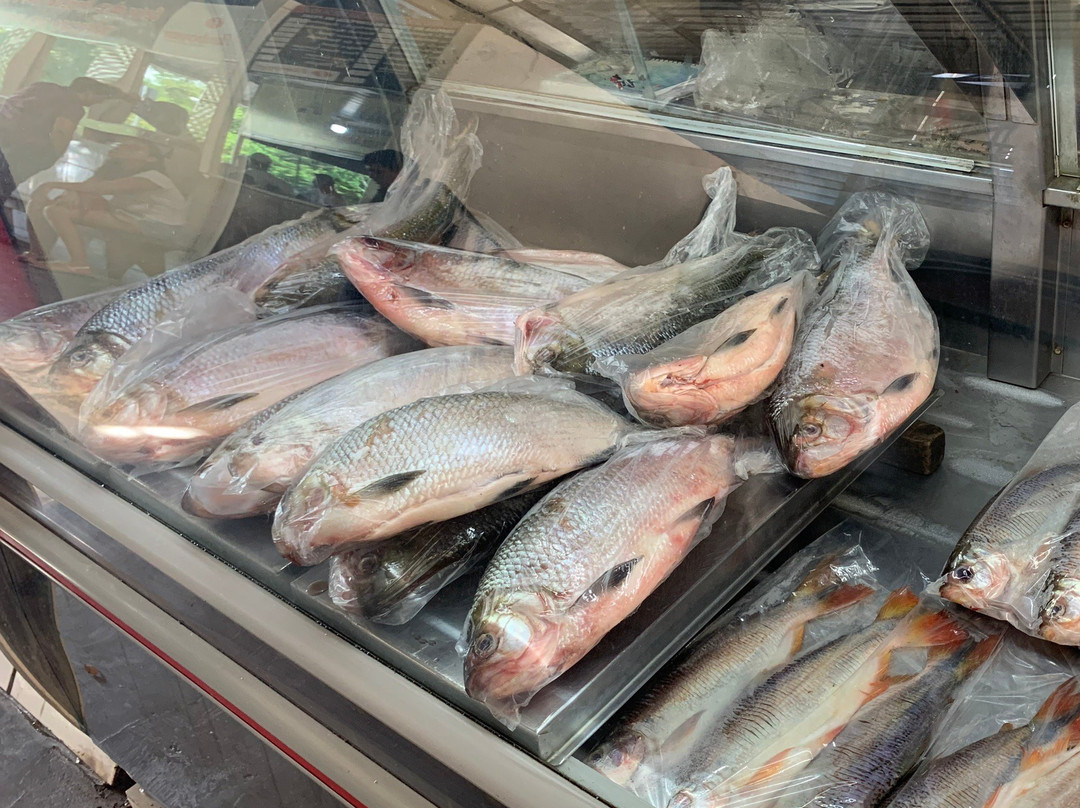 Mercado do Porto景点图片