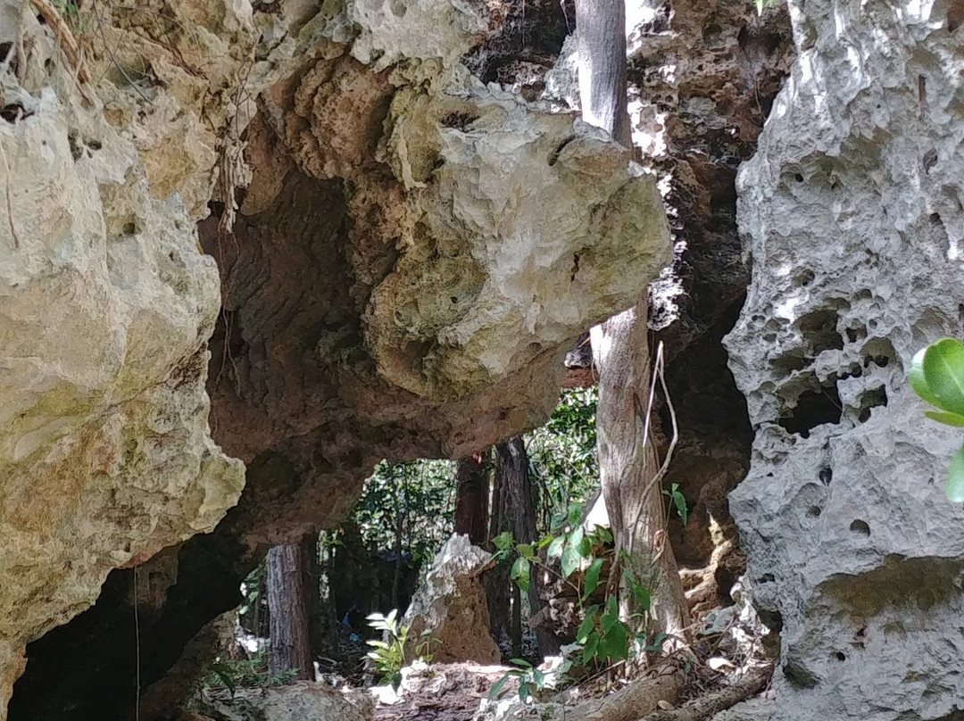 Varahicacos Ecological Reserve-巴拉德罗必去景点
