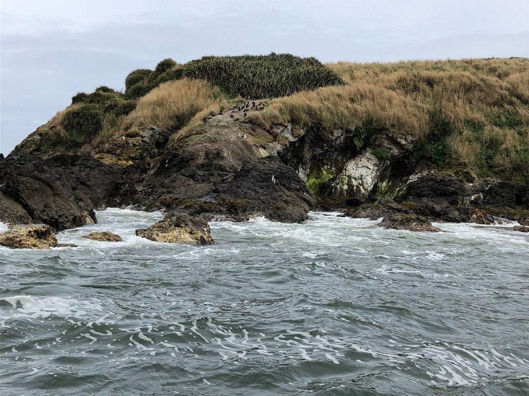 Ecoturismo Punihuil-Ancud必去景点