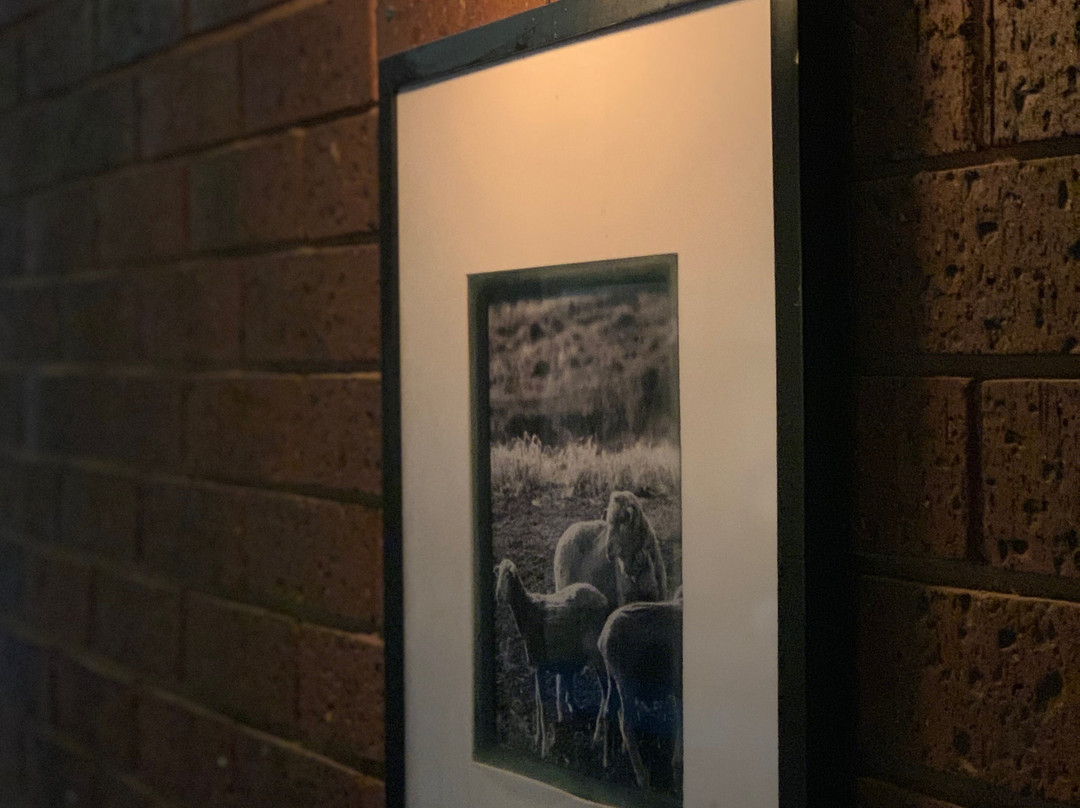 Red Steer Hotel主图