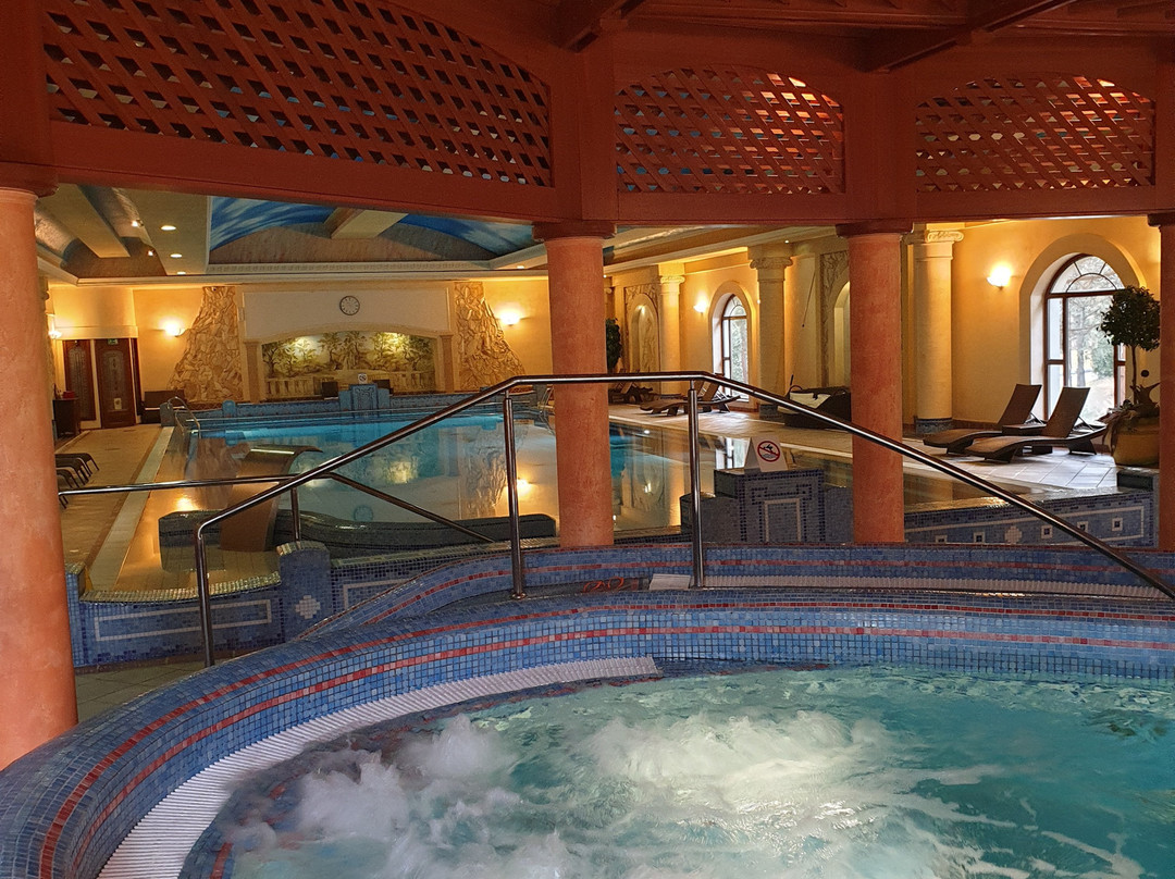 Jawor Spa Hotel主图