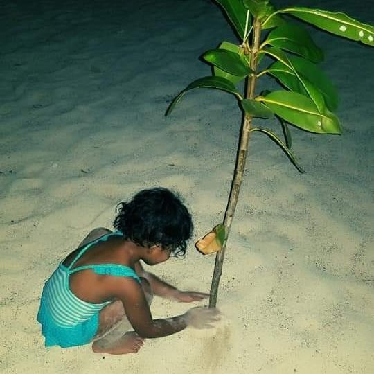Lululosa Beach Fales