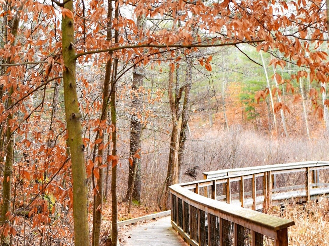 Lake Shaftsbury State Park-Shaftsbury必去景点