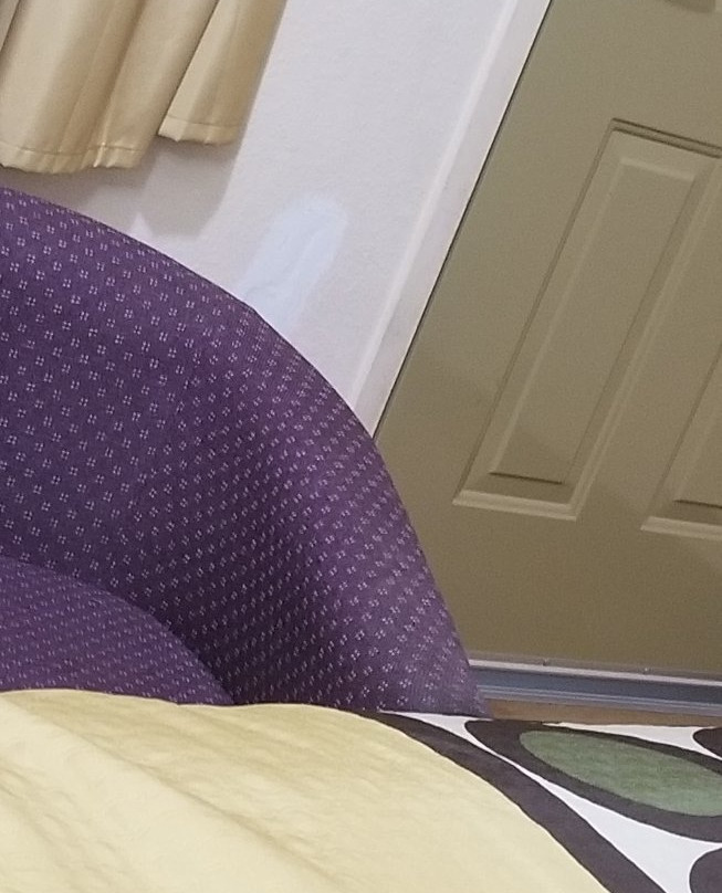 Super 8 by Wyndham Waco/Mall area TX主图