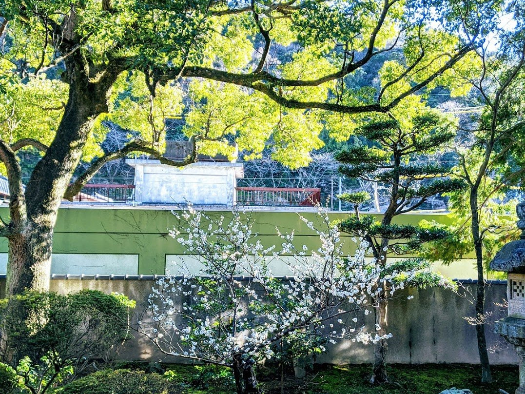 Hinjitsukan-伊势市必去景点
