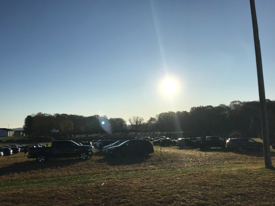 Pine Valley Christmas Trees-埃尔克顿必去景点