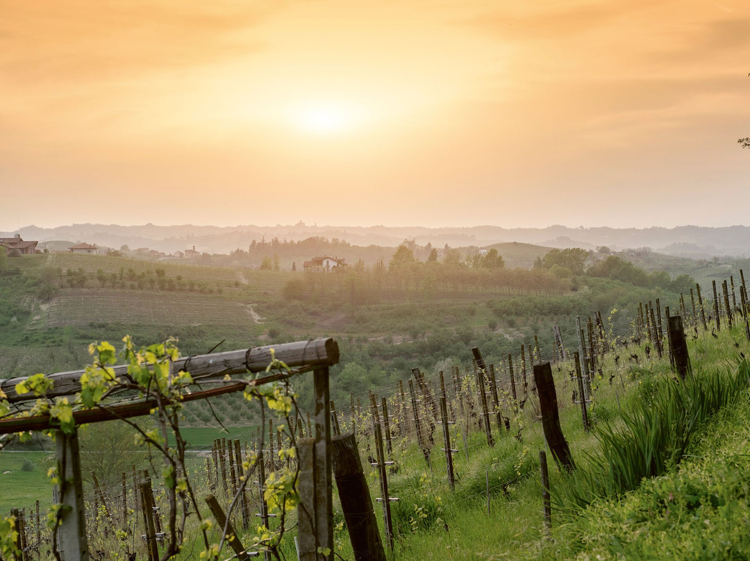 Sunstar Hotel Piemont Castello di Villa主图