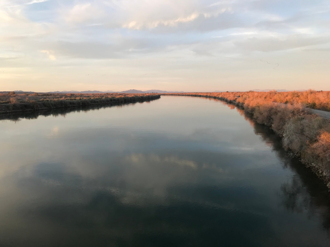 Imperial National Wildlife Refuge-尤马必去景点