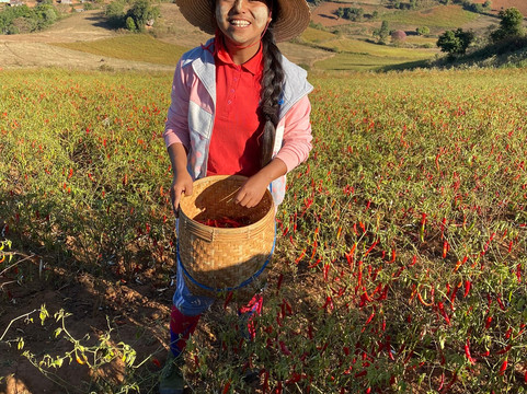 Jungleking Trekking Service-格劳必去景点