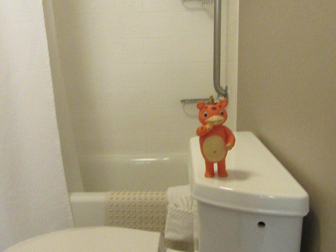 SpringHill Suites by Marriott Madera主图