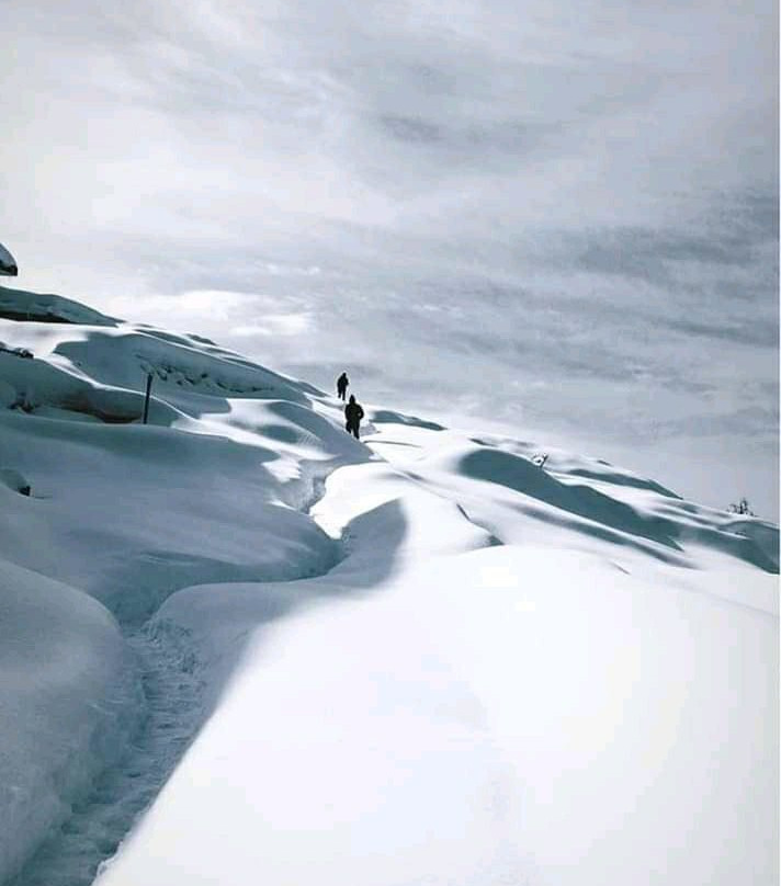 Chopta Swiss Camp