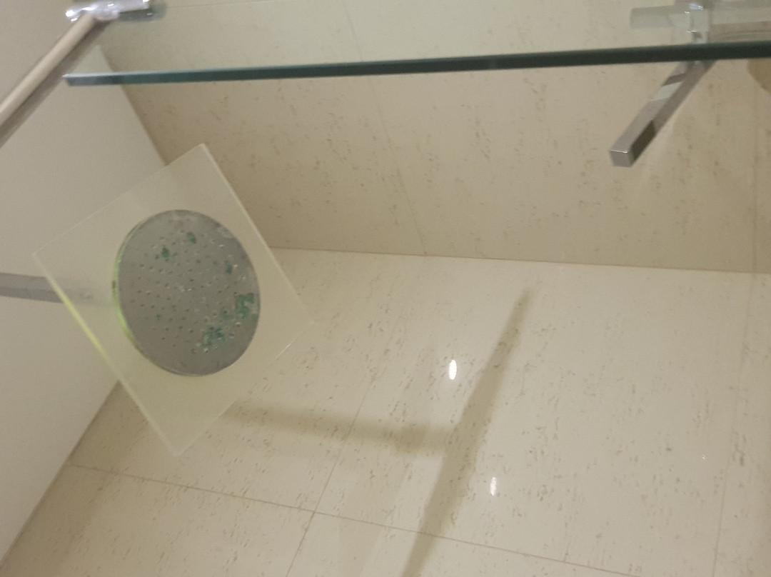 The Swan River Hotel主图