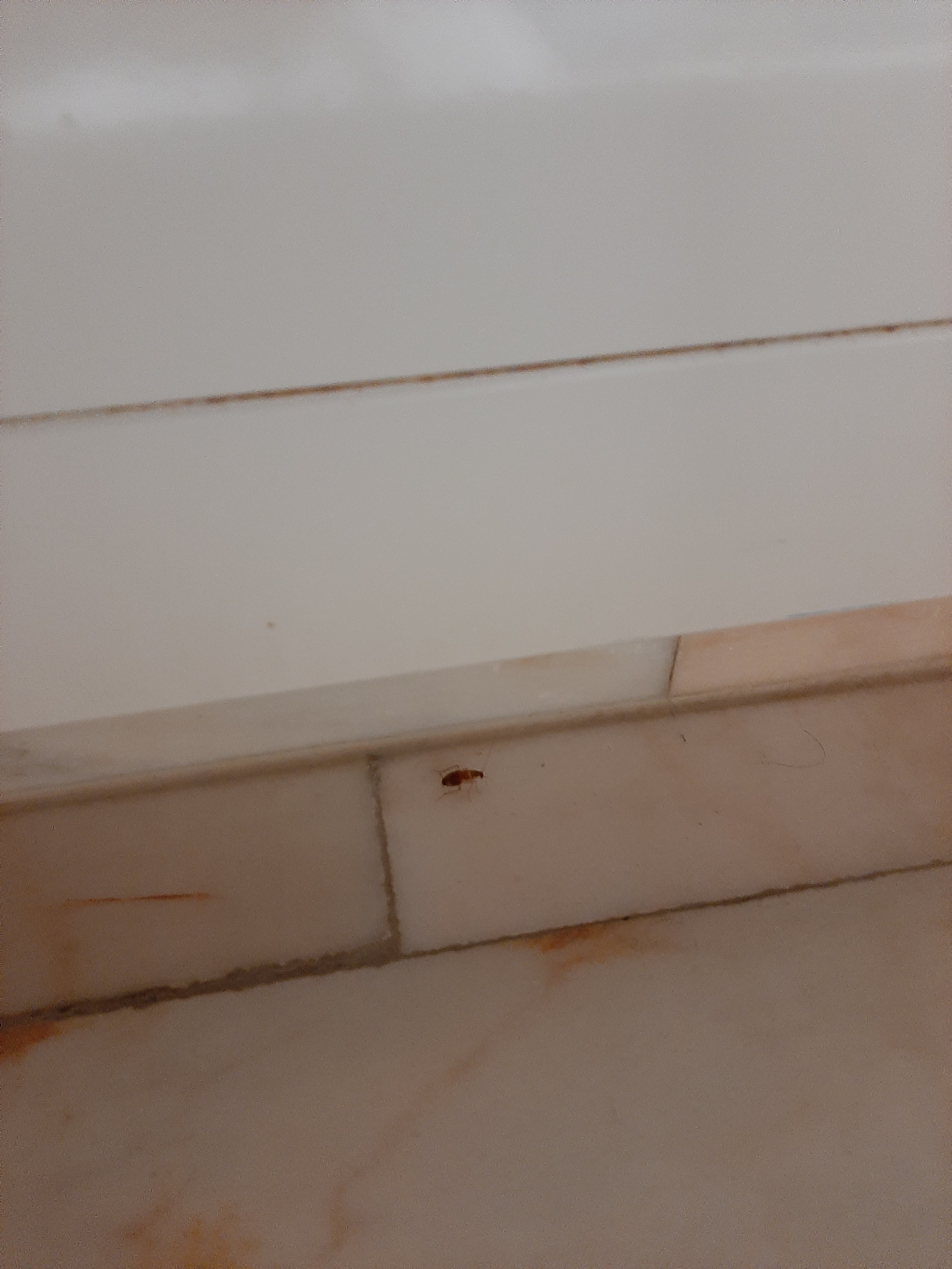 坎品斯基日内瓦大酒店-浴室