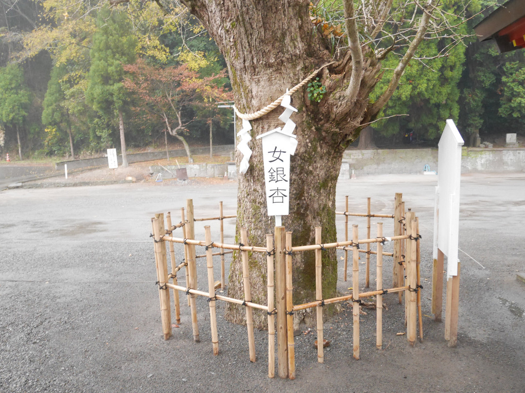 Toyotamahime Shrine-南九州市必去景点