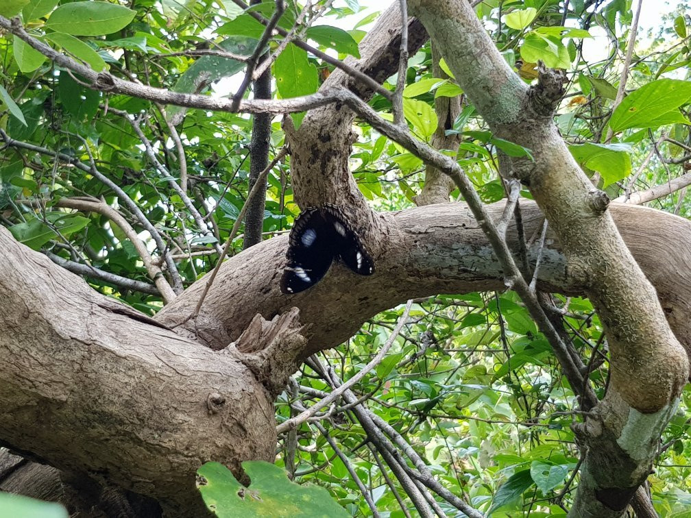 Best safaris- camping/birdwatching/safaris-哈巴拉娜必去景点