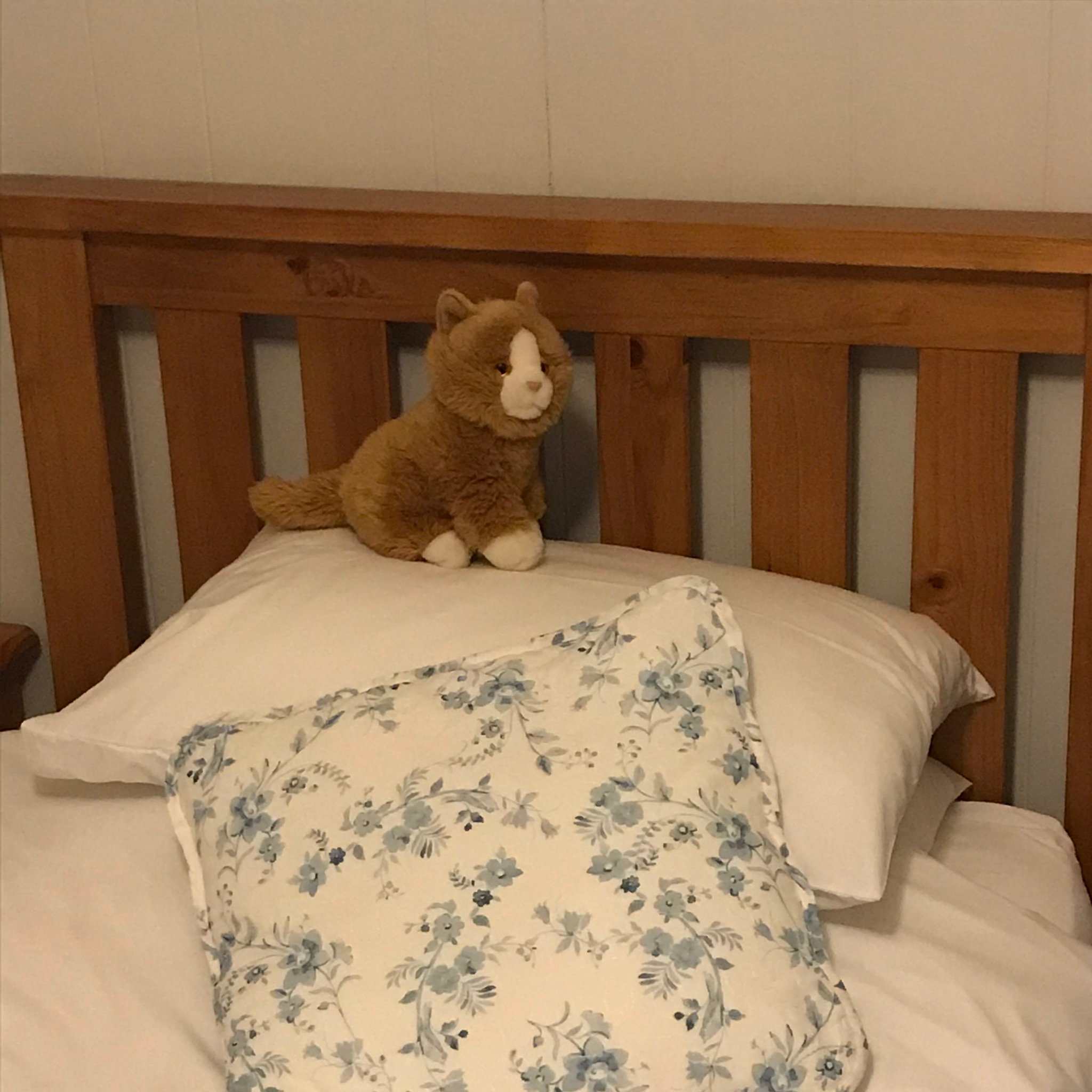 Impala Guest House-官方