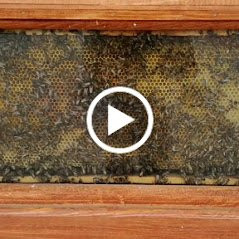 Olybeea Fine Honey Products-Katakolo必去景点