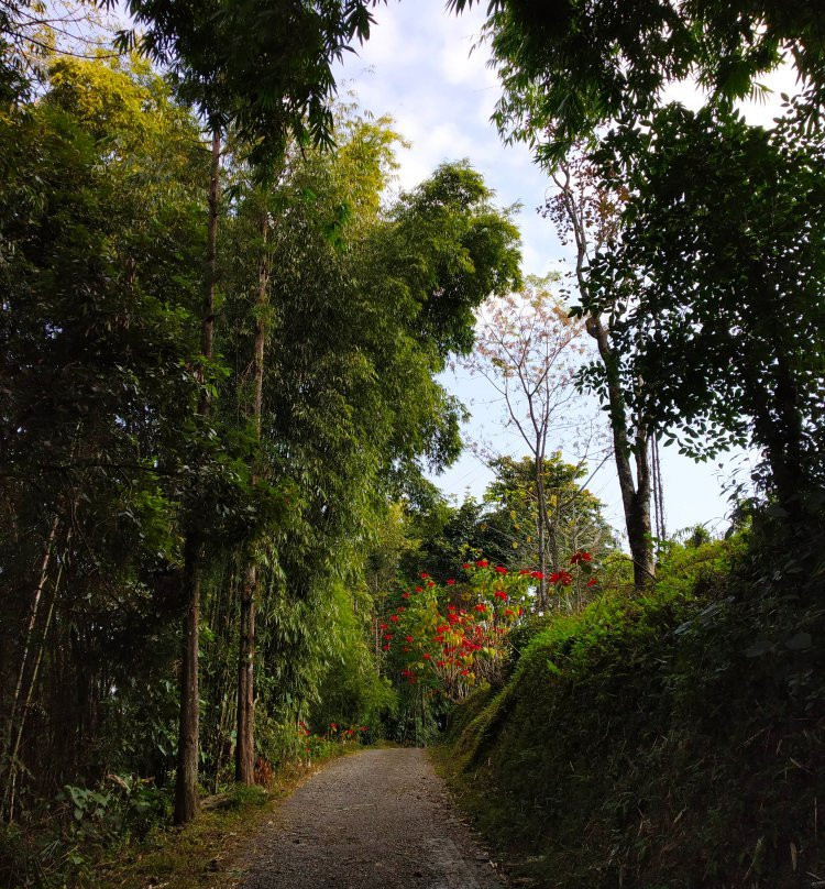 The Bliss Village Resort主图