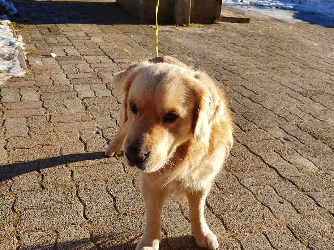 B&B Il Sorriso dei Nonni主图