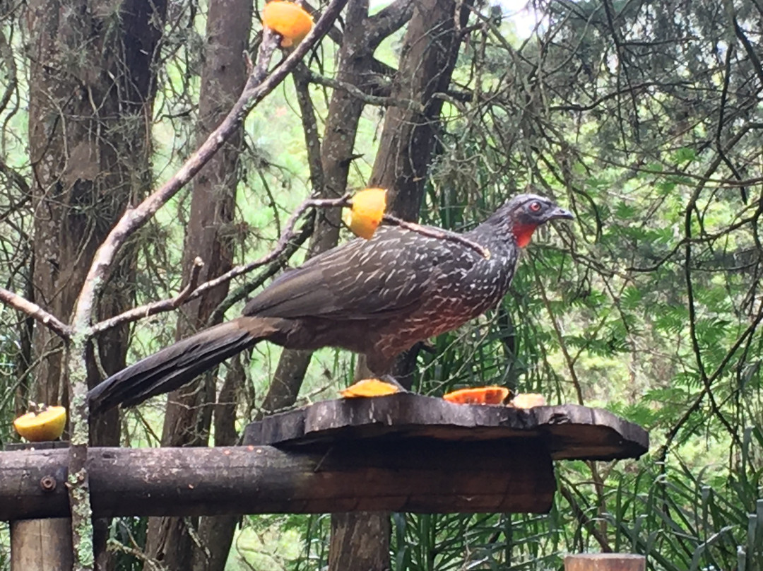 Pousada Paraiso主图