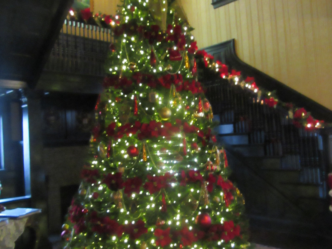 Vrooman Mansion主图