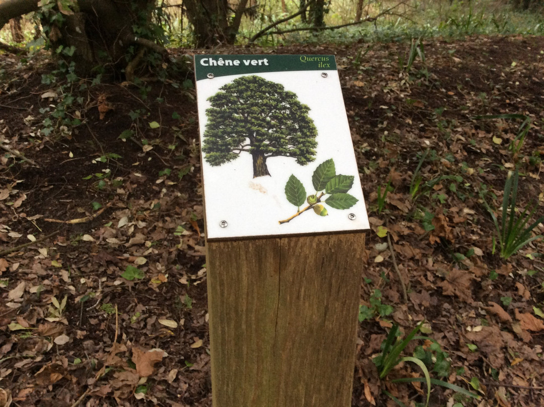 Foret domaniale de Santec景点图片