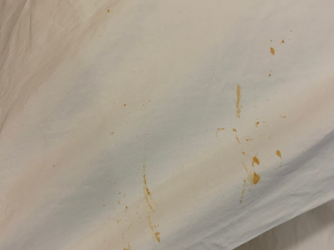 Thalloor's Hotel Sarah International主图