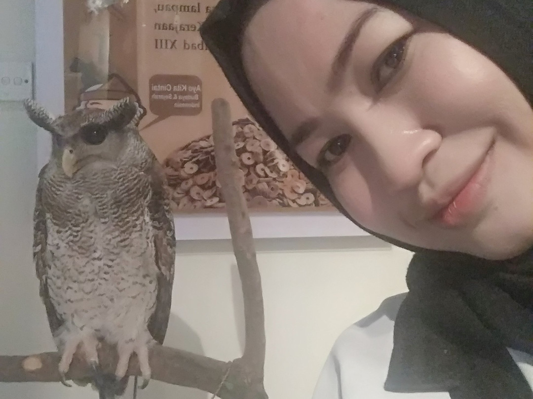 Museum Ganesya (Gelar Indonesia Budaya)-玛琅必去景点