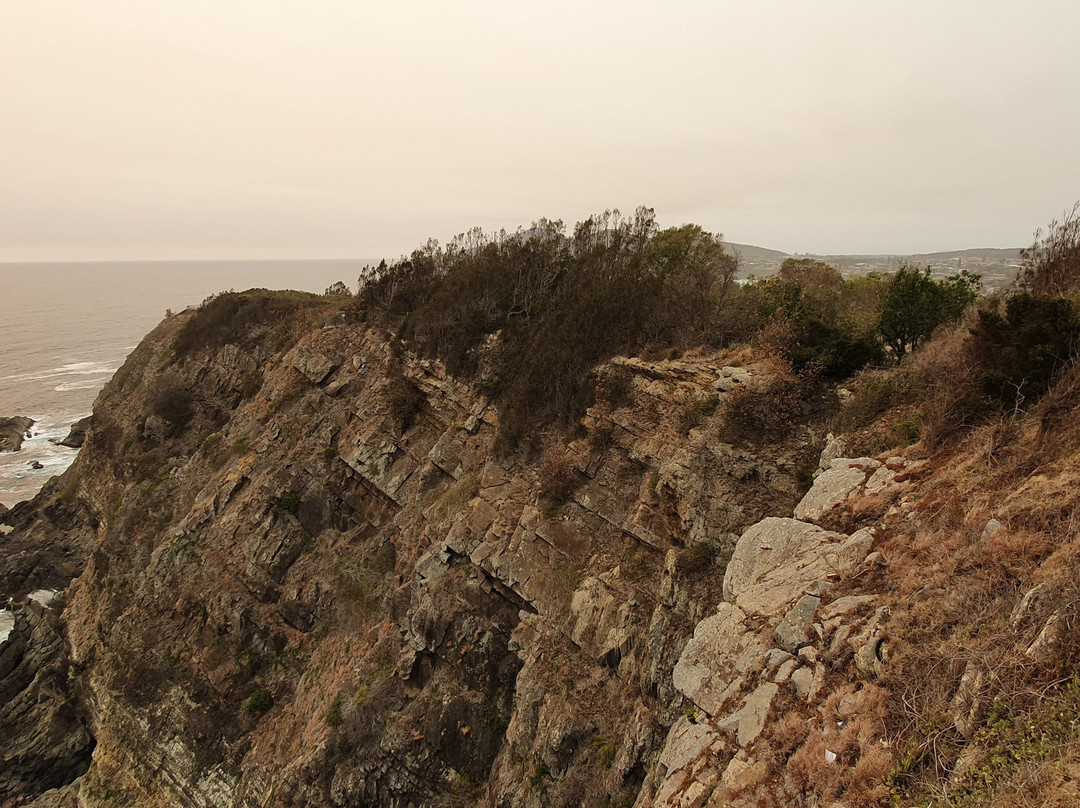 Bennetts Head Lookout景点图片