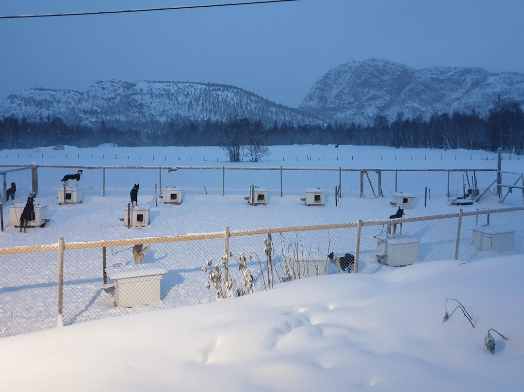 HORISONT HUSKY - Dogsled adventures and expeditions in the Arctic-阿尔塔必去景点