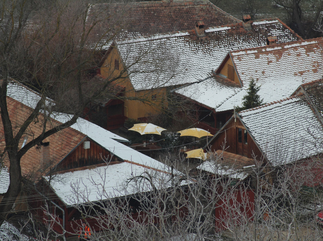 Valea Verde Resort主图