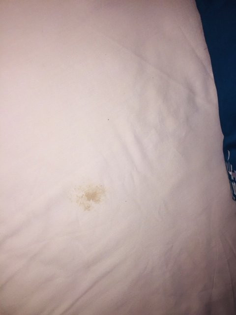 Hotel Boca Budi主图