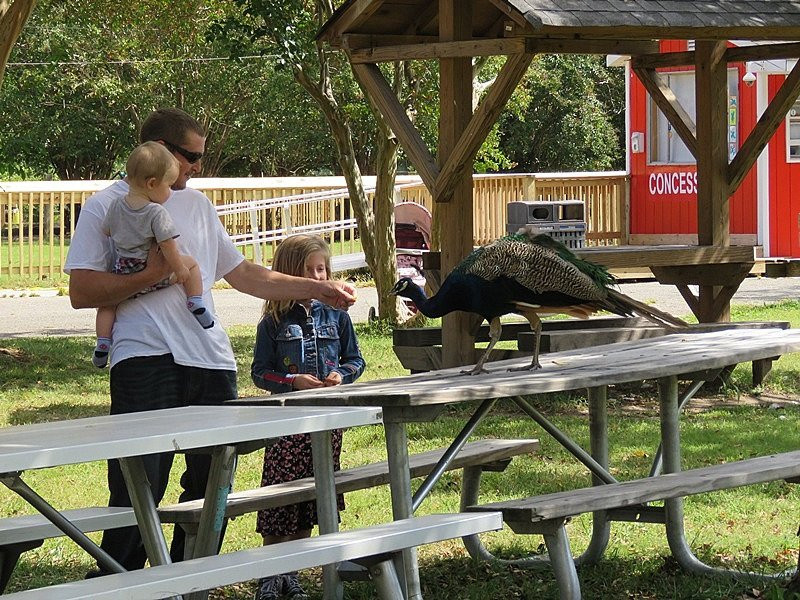 Bluebird Gap Farm-汉普顿必去景点