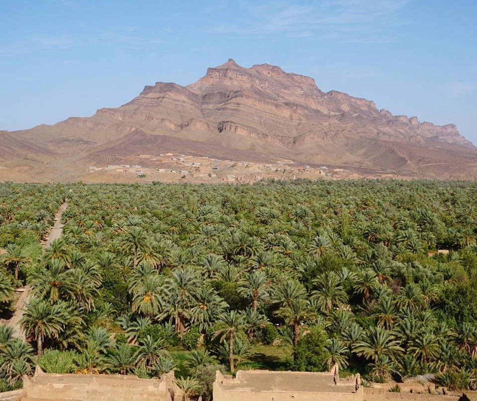 Morocco Lifetime Trip-马拉喀什必去景点