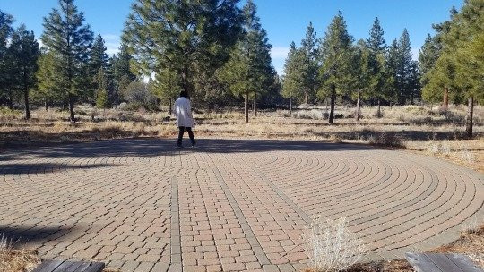 Living Memorial Sculpture Garden-Weed必去景点